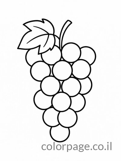 אשכול ענבים עם עלים