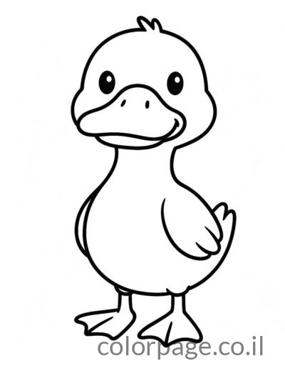 ברווז חמוד עומד עם מקור גדול