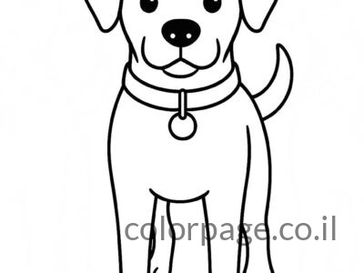 דפי צביעה חיות