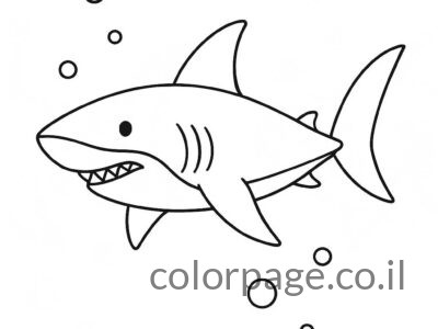 דפי צביעה כריש