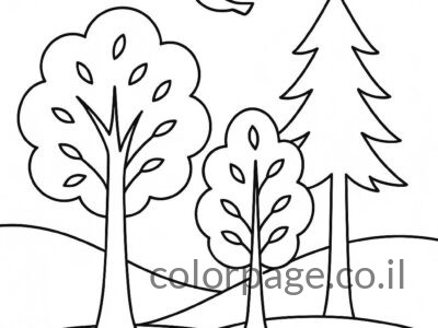 דפי צביעה טו בשבט