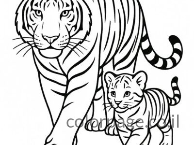 דפי צביעה נמר