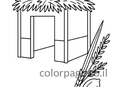 דפי צביעה סוכה
