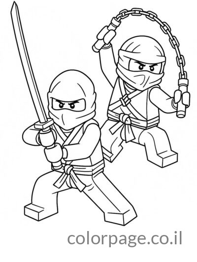 שני נינג'ות נלחמים יחד